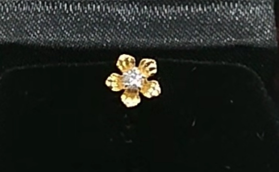 Nose Pins